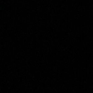 Meet your Posher, Elise